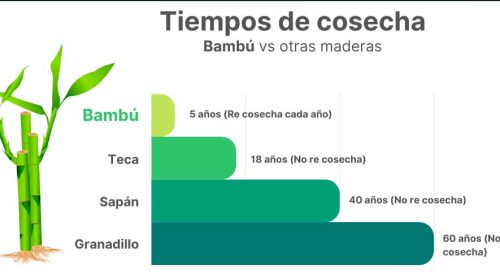 Sin-título-1